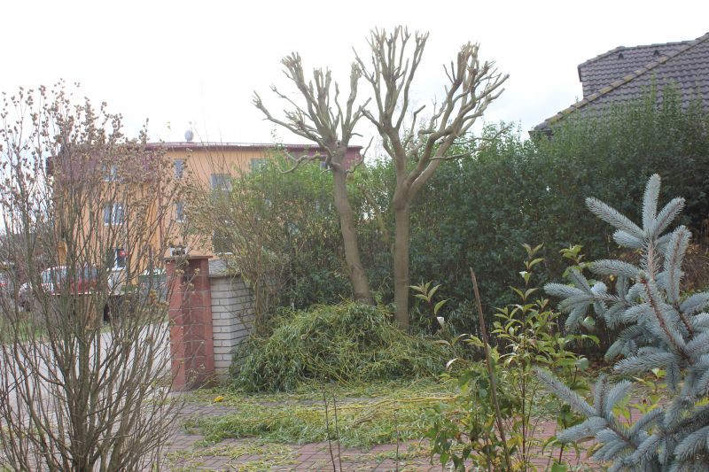 SIMG_0074_281229.JPG