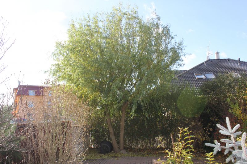 SIMG_0074_28129.JPG
