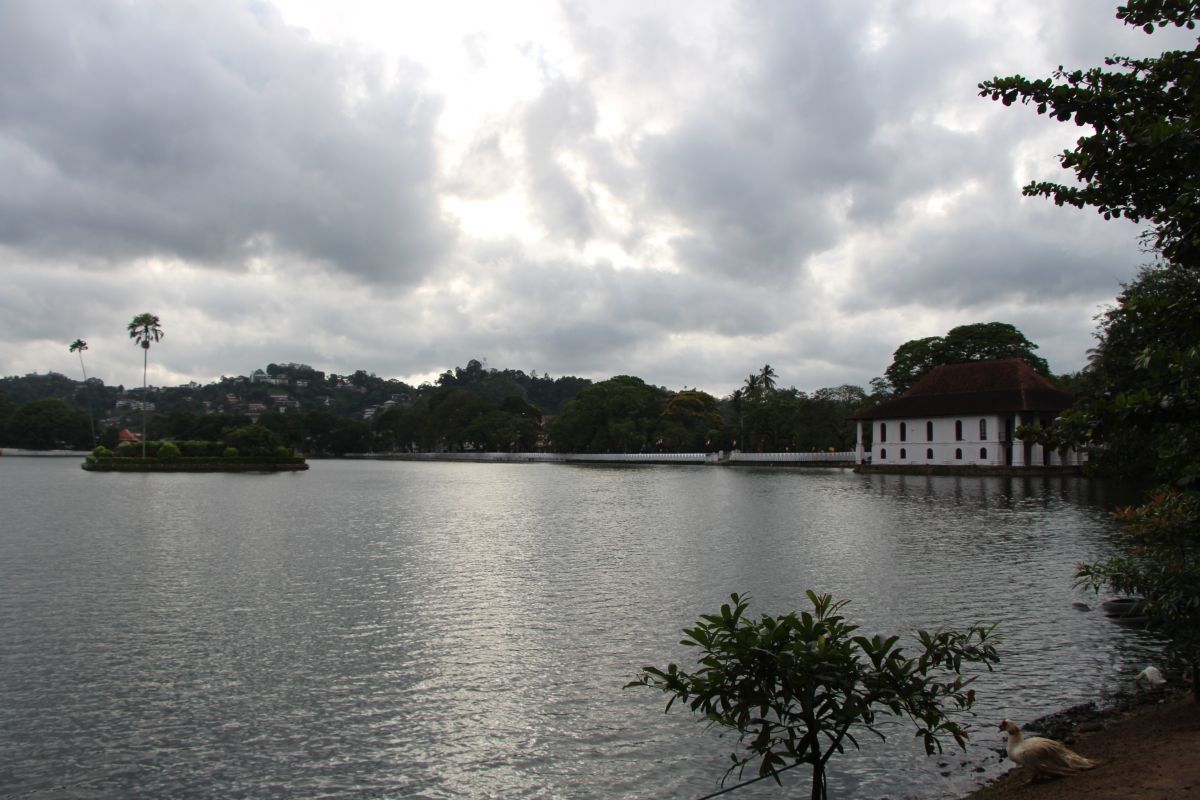 SL042.JPG