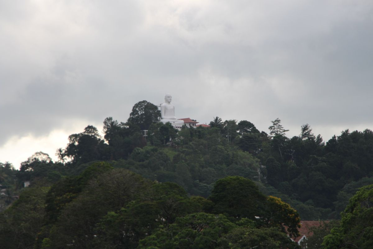 SL043.JPG