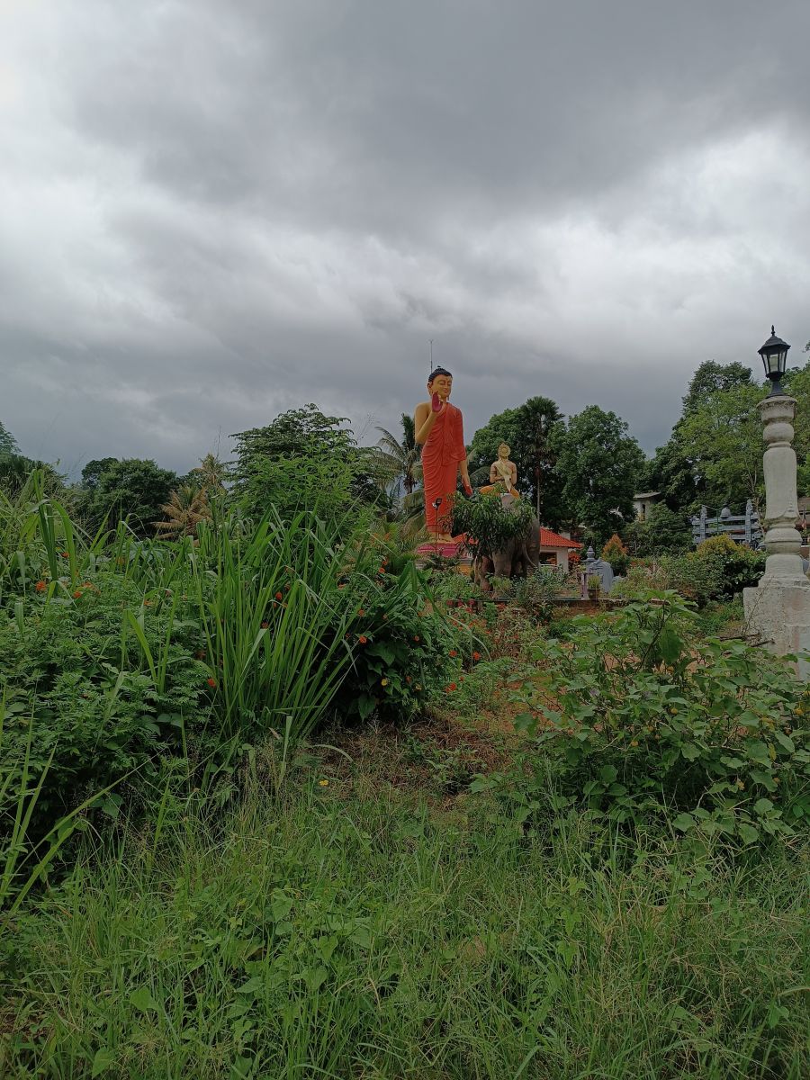 SL049.jpg