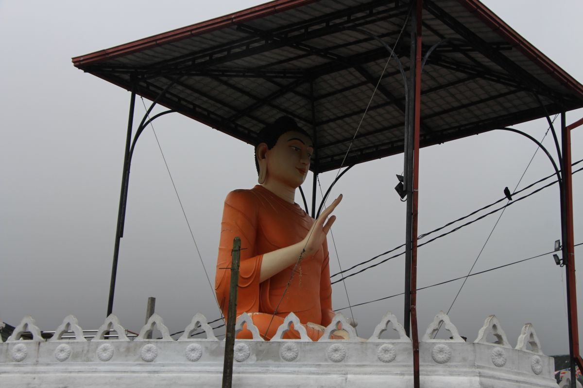 SL050.JPG