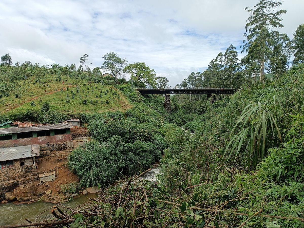 SL069.jpg
