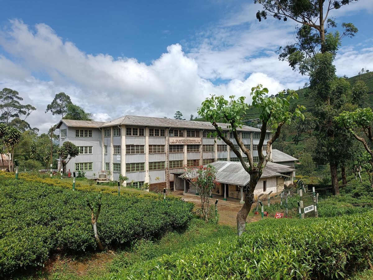 SL083.jpg