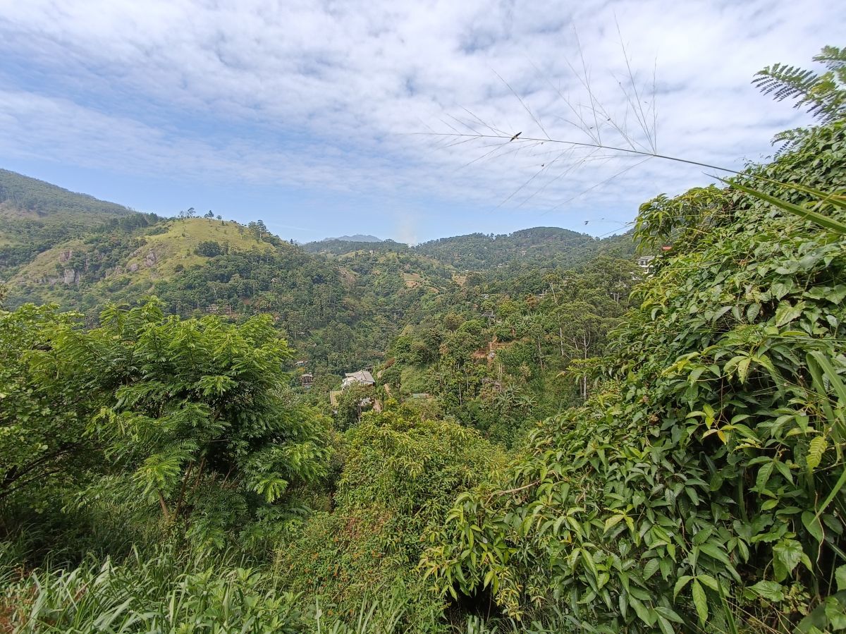 SL191.jpg