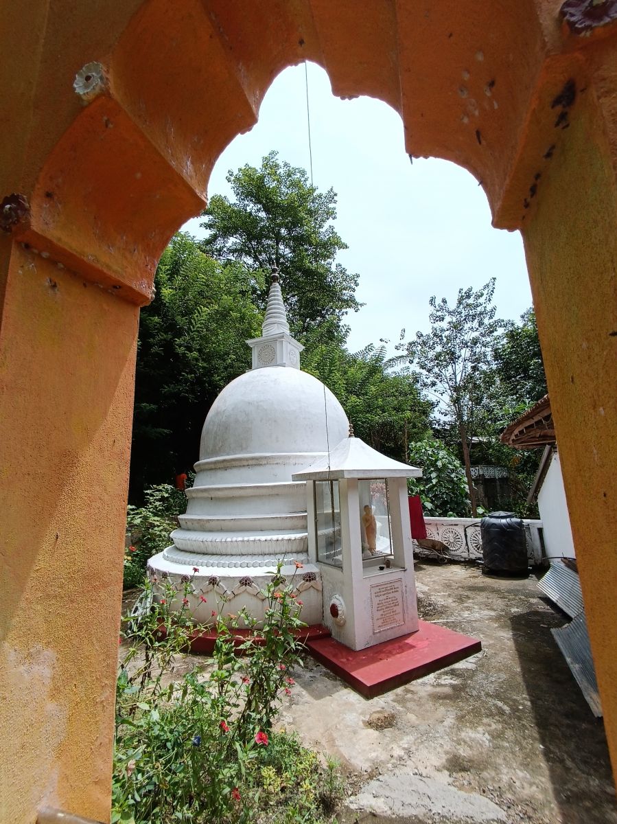 SL248.jpg