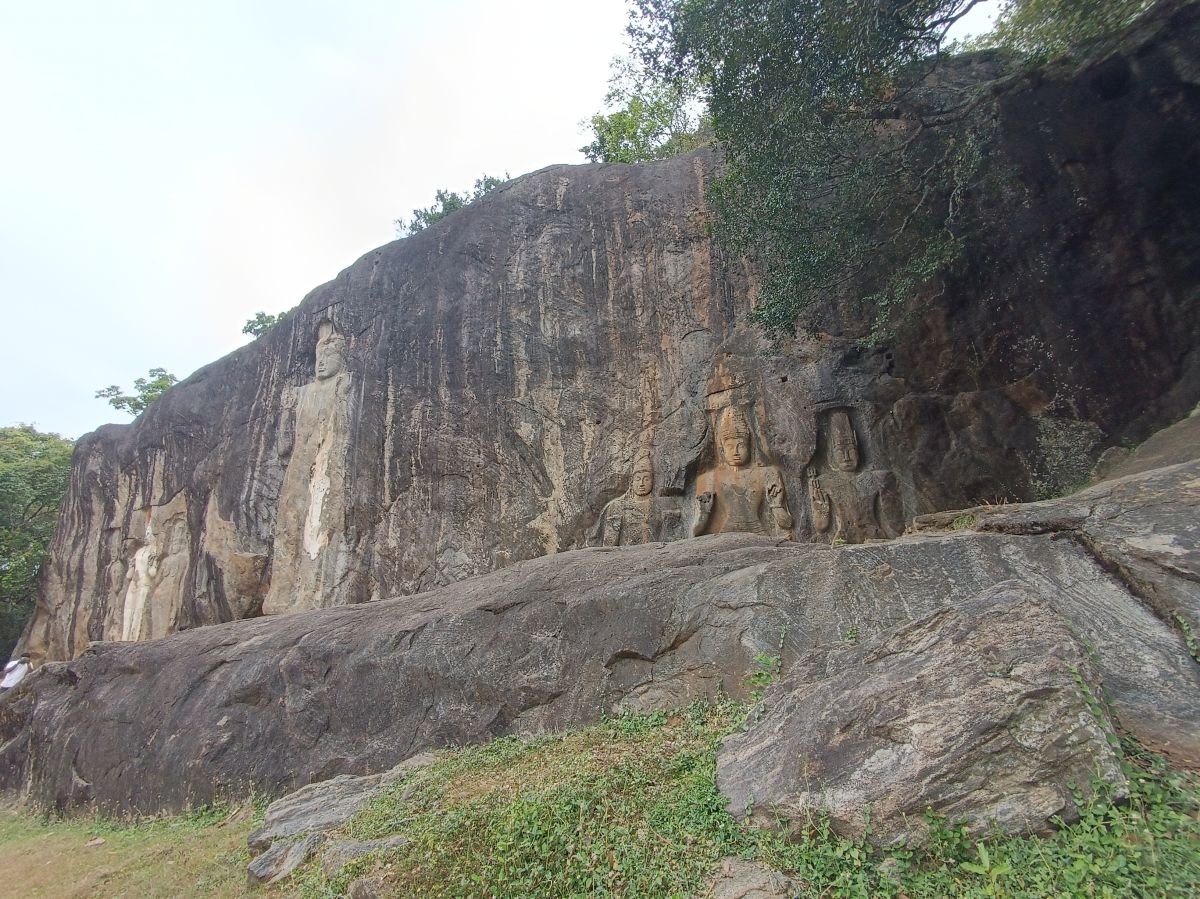 SL265.jpg