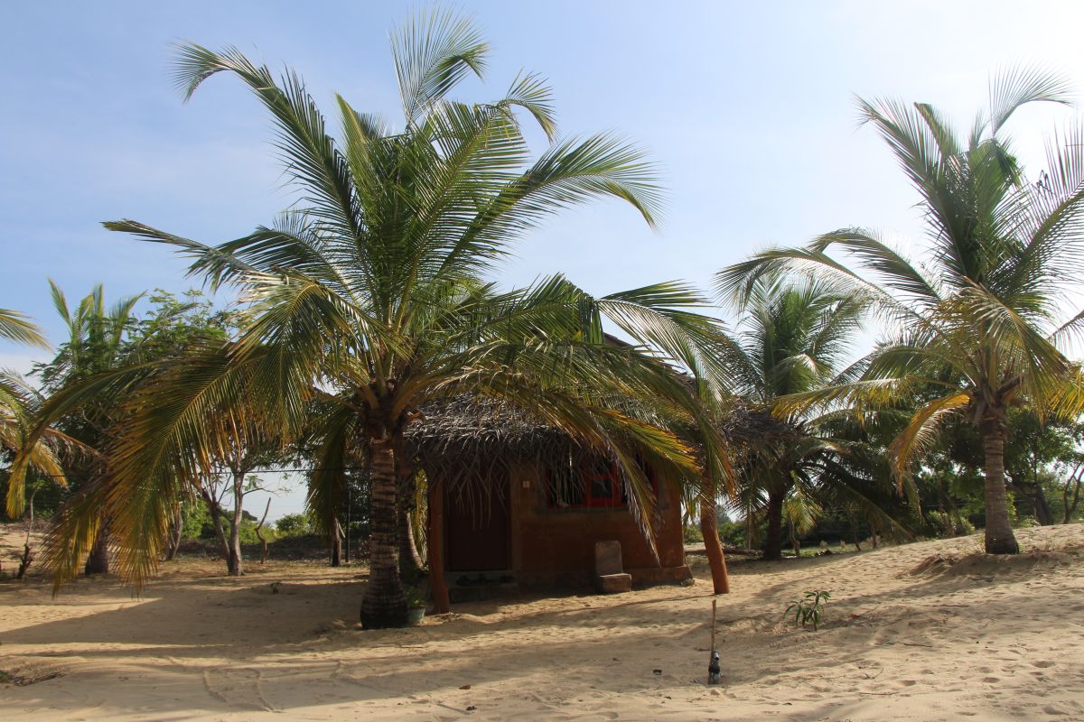 SL288.JPG