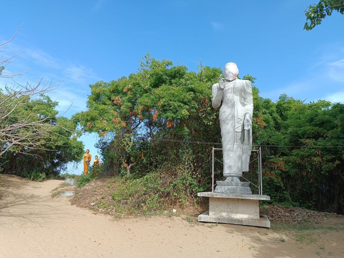 SL325.jpg