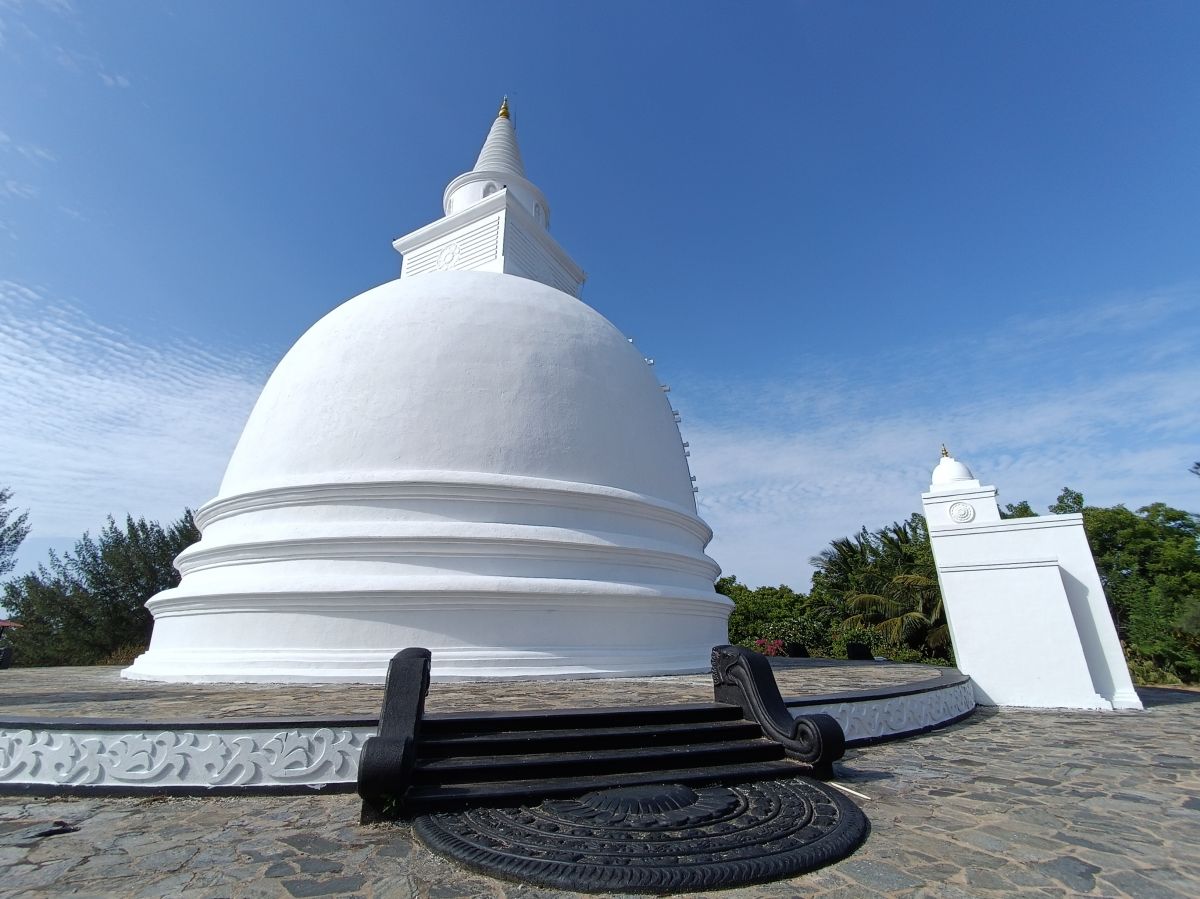 SL326.jpg
