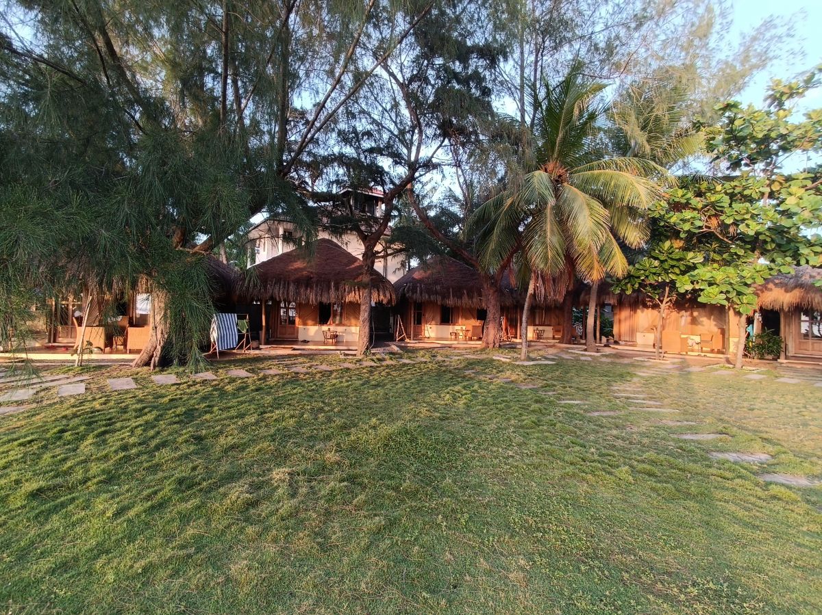 SL348.jpg