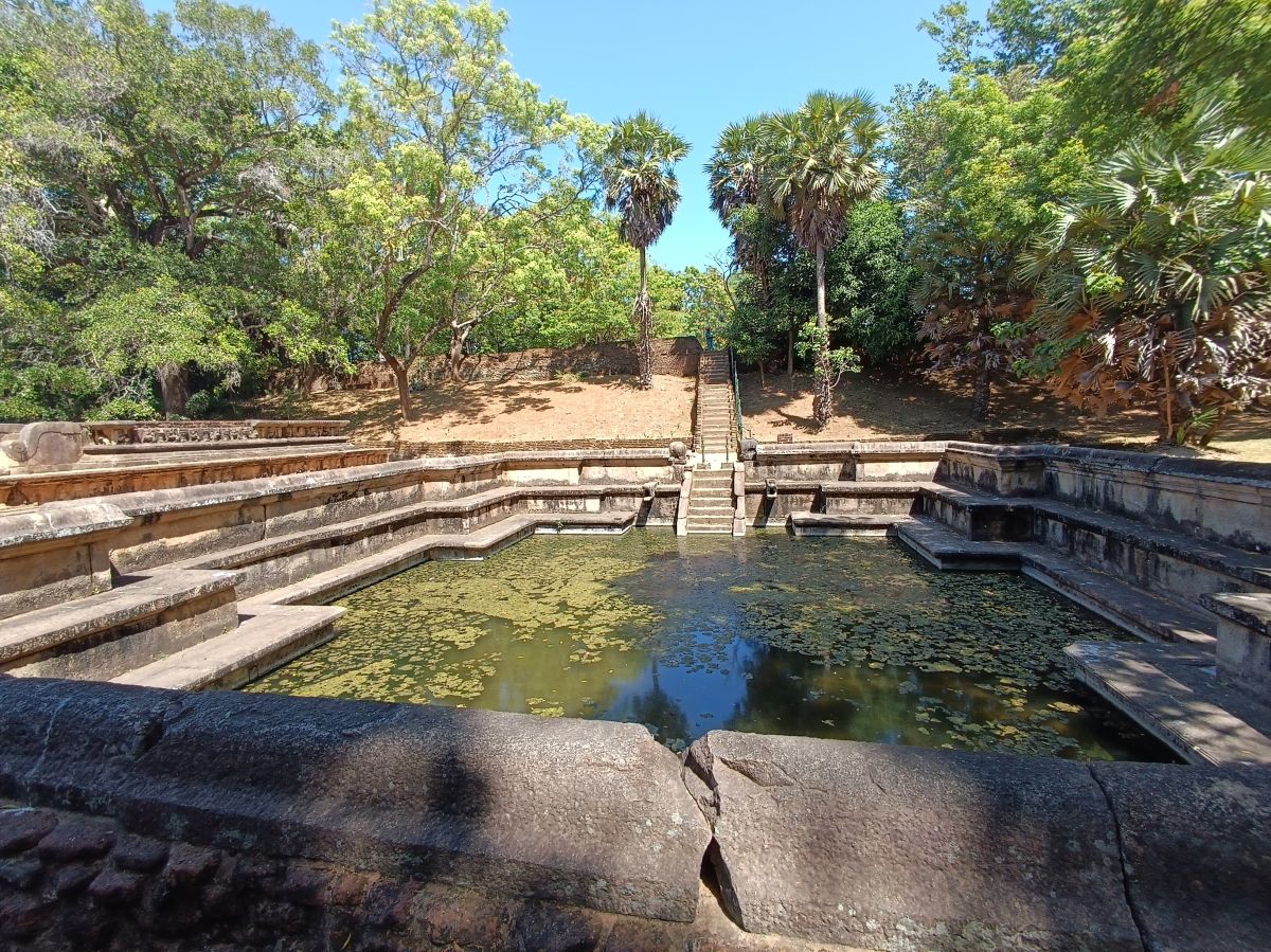 SL384.jpg
