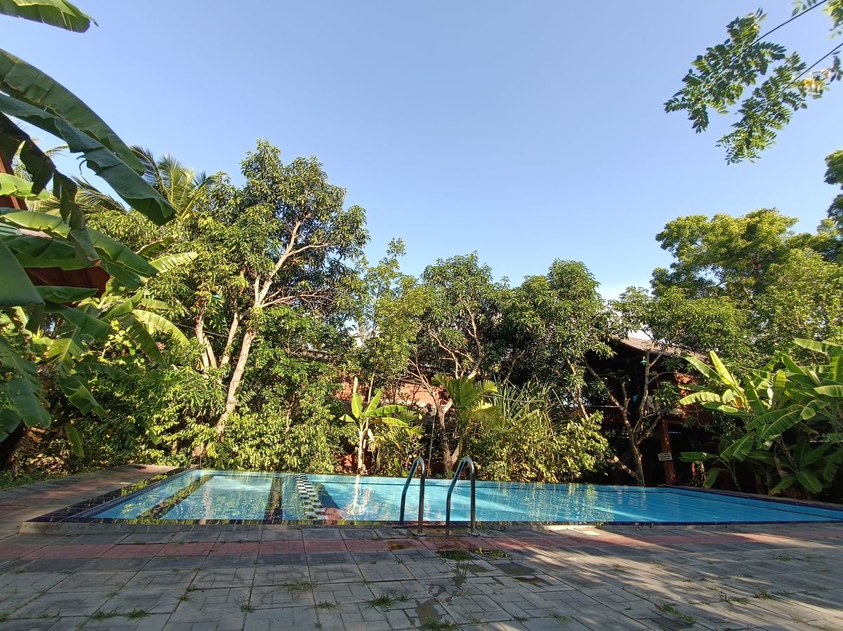SL480.jpg