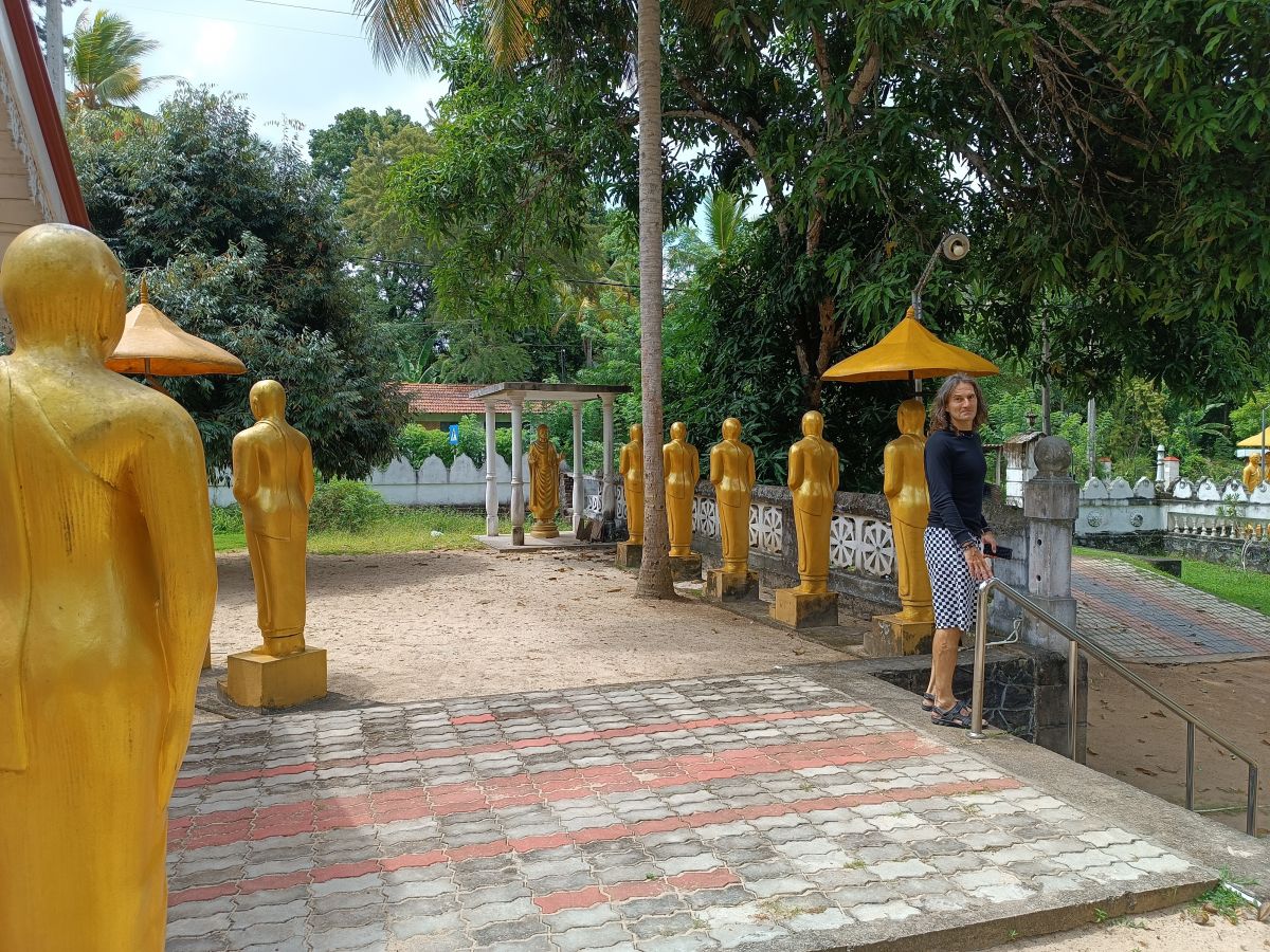 SL551.jpg