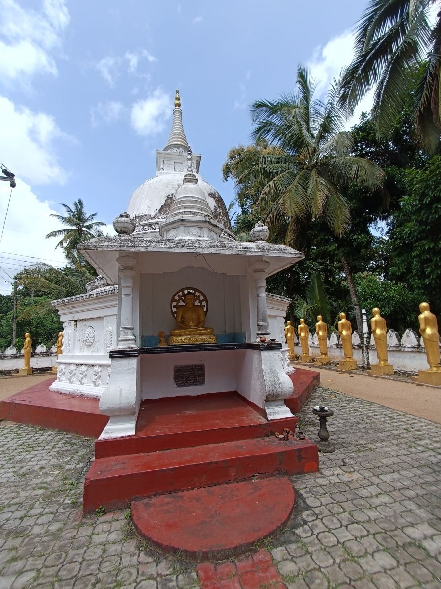 SL553.jpg