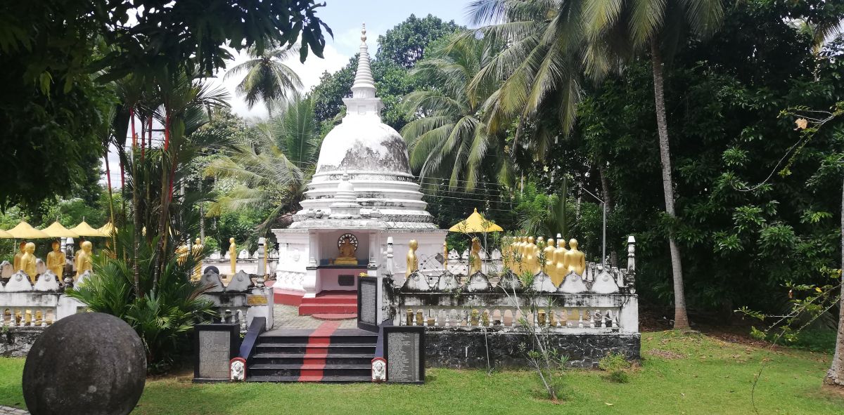 SL554.jpg