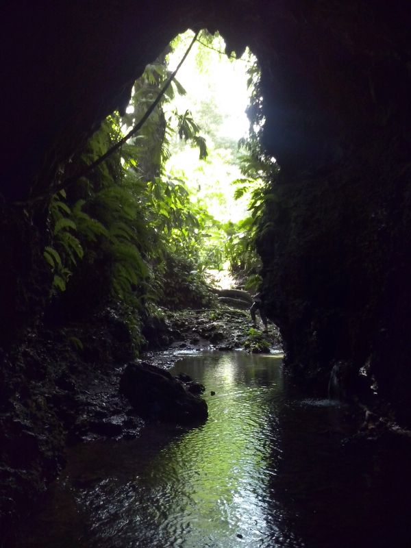 T_281129.jpg