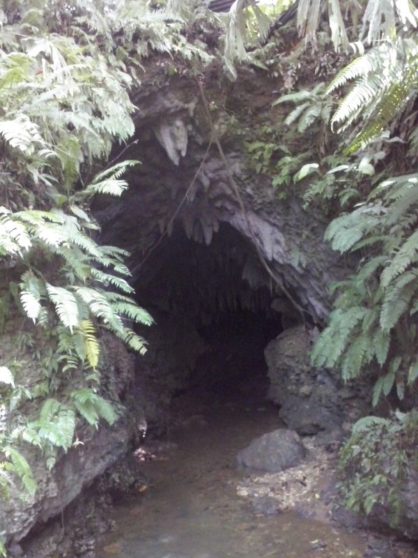 T_281229.jpg