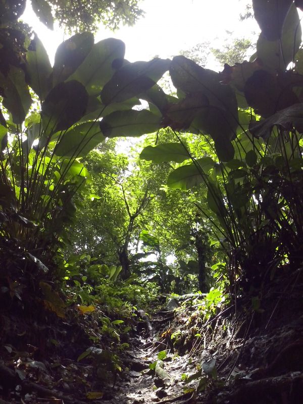 T_281329.jpg