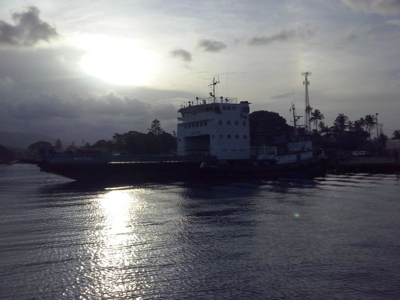 T_281429.jpg