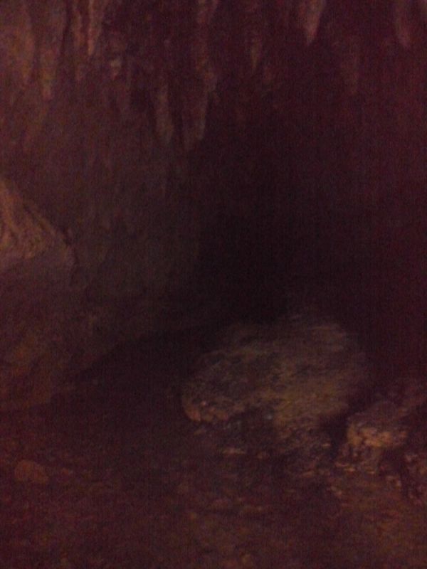 T_28729.jpg