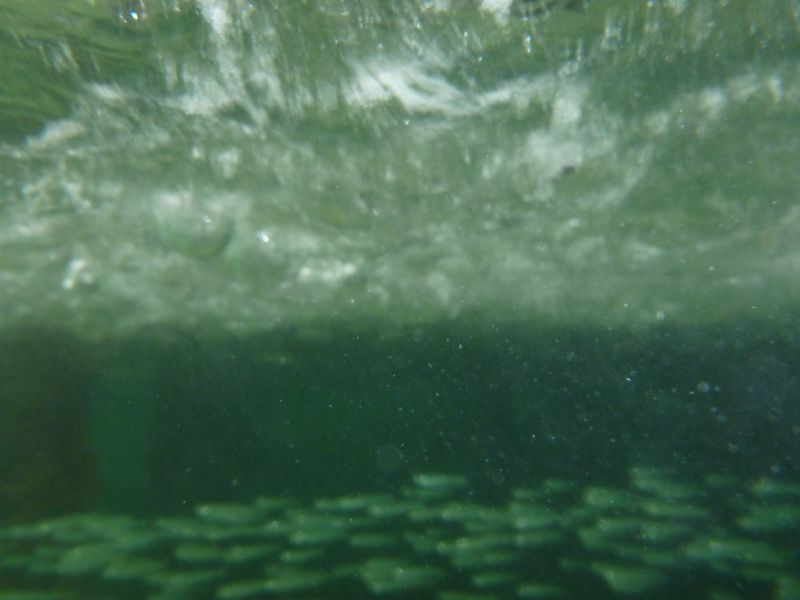 Y_281029.JPG