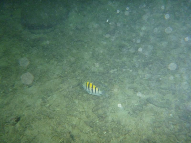 Y_281129.JPG