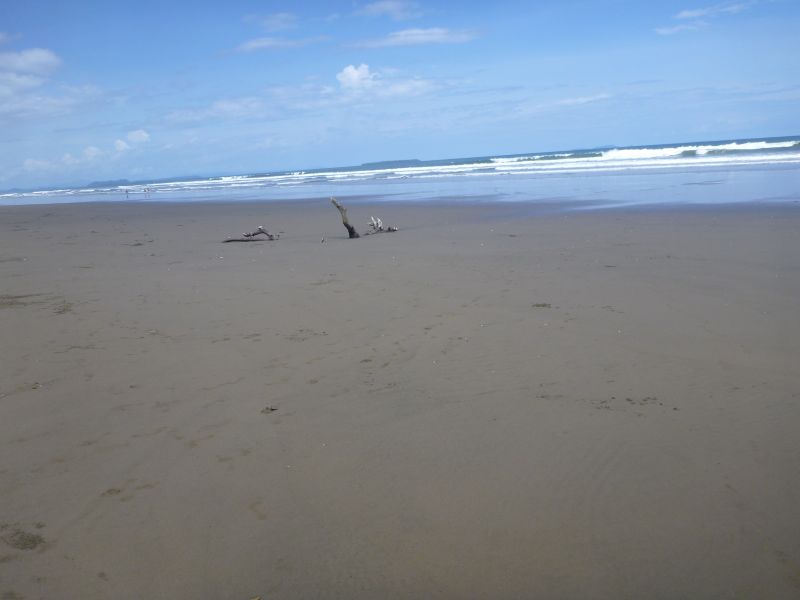 Y_28129~0.JPG
