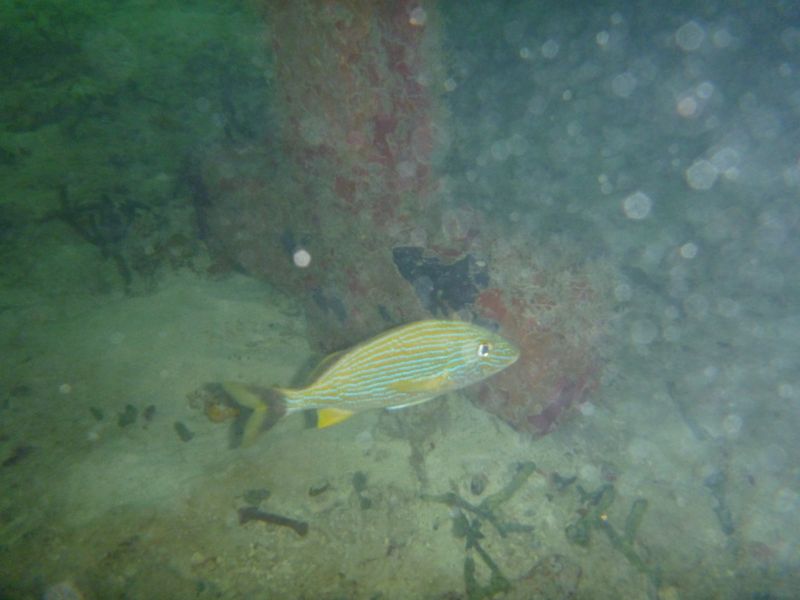 Y_281729.JPG
