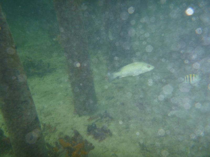Y_281829.JPG