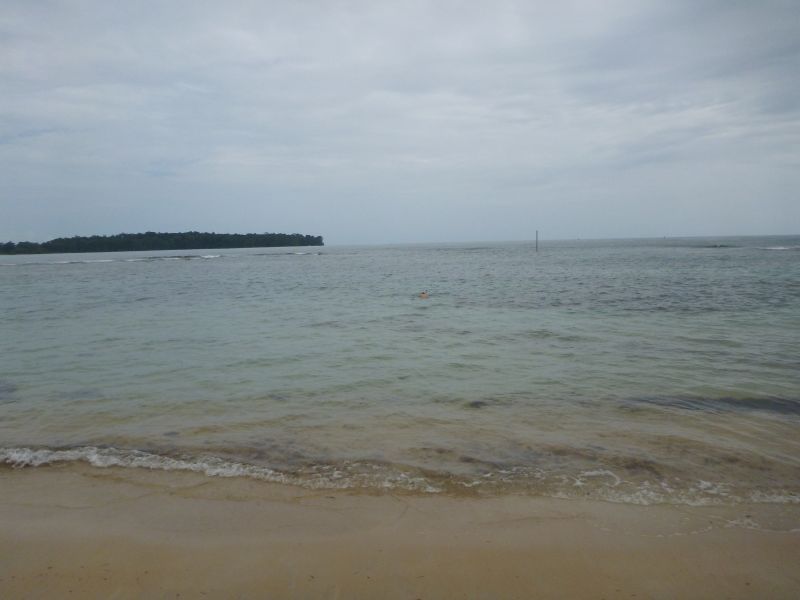 Y_283229.JPG