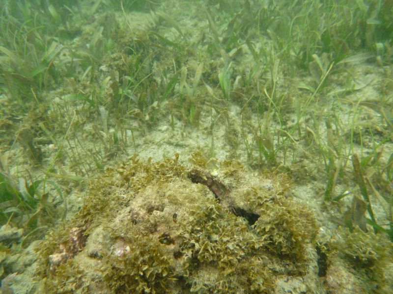Y_283629.JPG