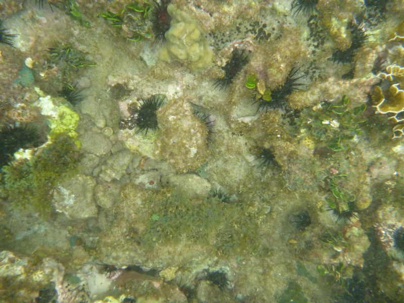 Y_283729.JPG