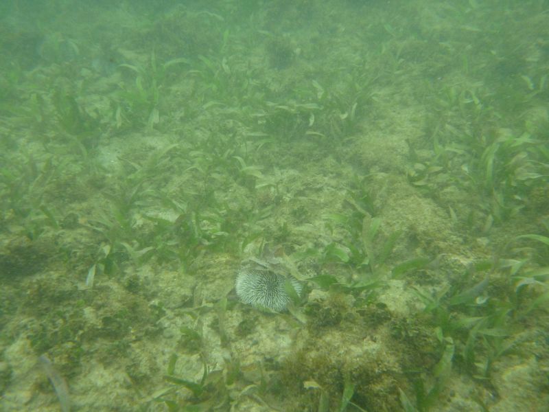 Y_284029.JPG