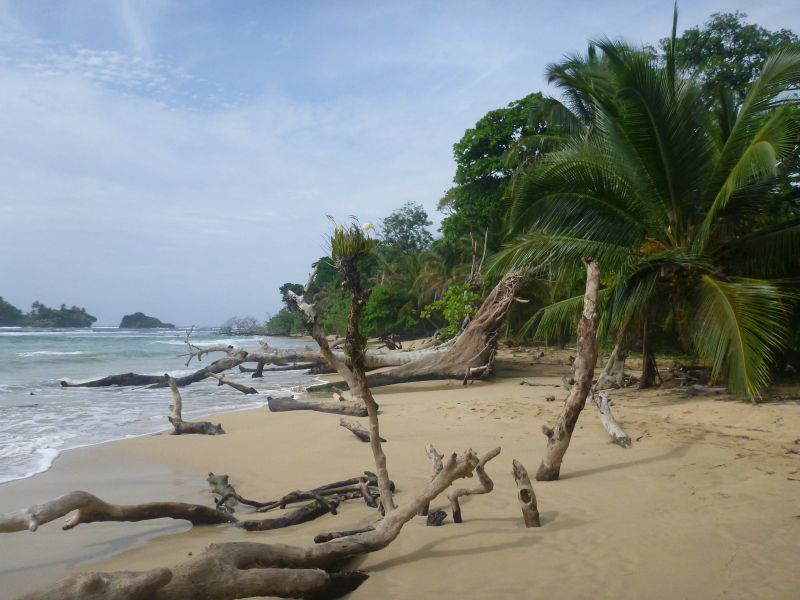 Y_28729.JPG