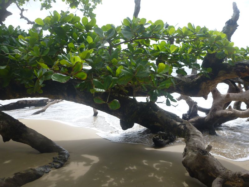Y_28829.JPG