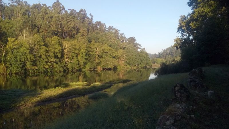 Z20170710_131610_28629.jpg