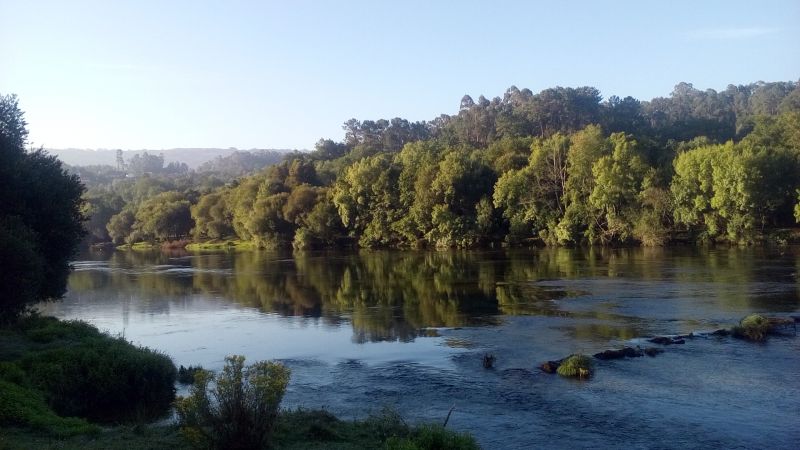 Z20170710_131610_28829.jpg