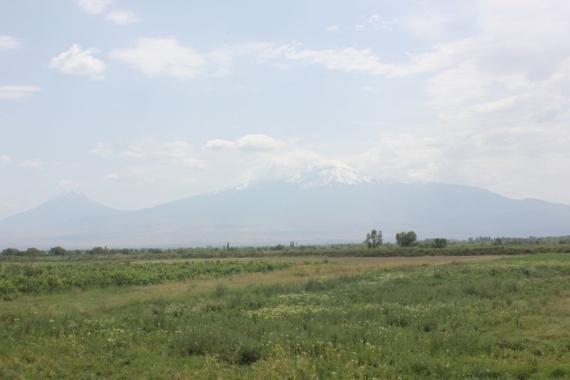 ZMG_0701_2812029.JPG