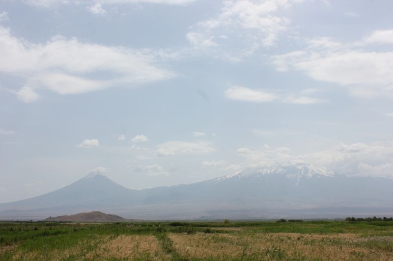 ZMG_0701_2812429.JPG