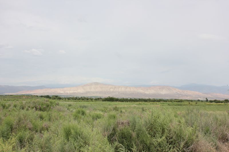 ZMG_0701_2813029.JPG