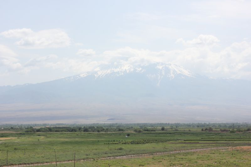 ZMG_0701_2813329.JPG