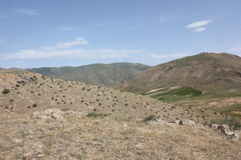 ZMG_0701_2816929.JPG