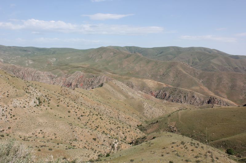 ZMG_0701_2817129.JPG
