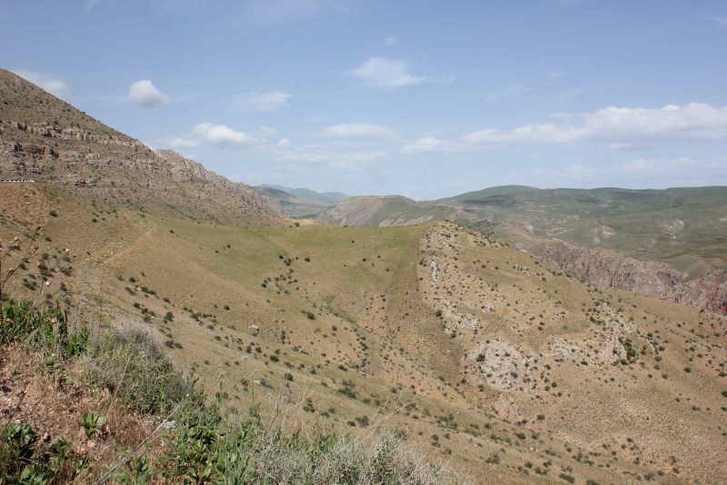 ZMG_0701_2817229.JPG