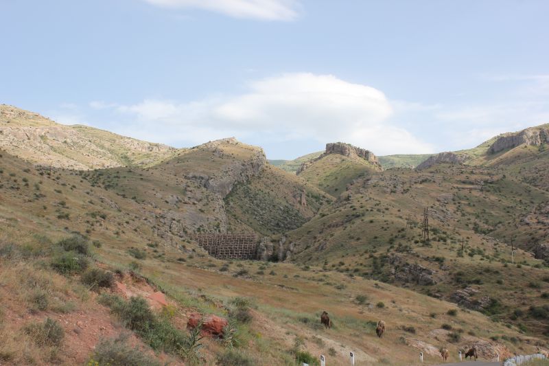 ZMG_0701_2817729.JPG