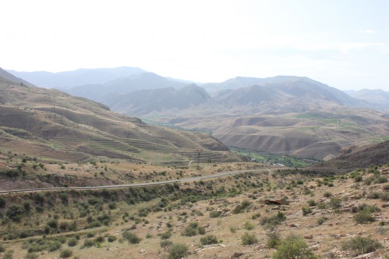 ZMG_0701_2818229.JPG