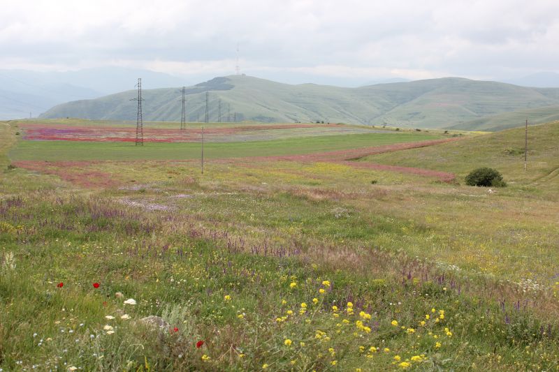 ZMG_0701_2821629.JPG