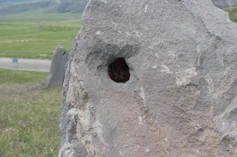 ZMG_0701_2828529.JPG