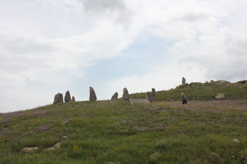 ZMG_0701_2831229.JPG